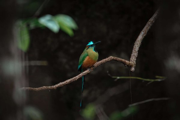 Titre connexe : "Accroître la visibilité locale de votre entreprise : Les secrets du marketing de bouche-à-oreille digital