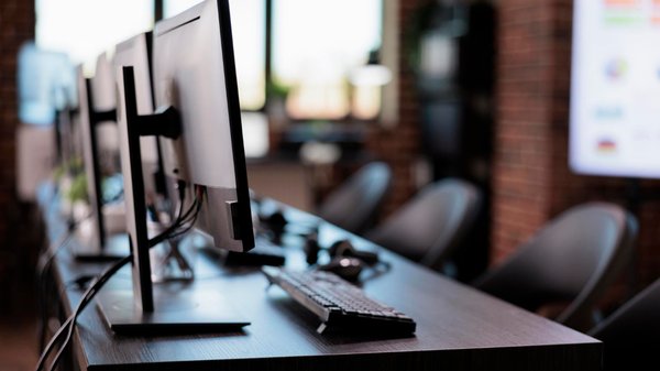 Rats et matériel tech : les dégâts invisibles qui coûtent cher